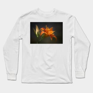 Evening Glow - Designer 135848 x6 Long Sleeve T-Shirt